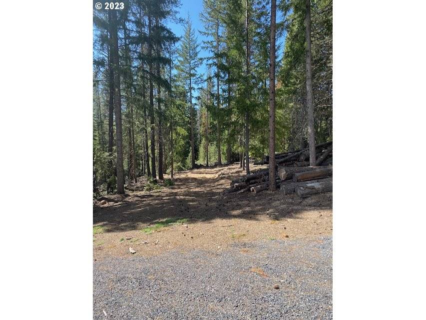 Crescent Lake, OR 97733,9 Diamond Peaks DR