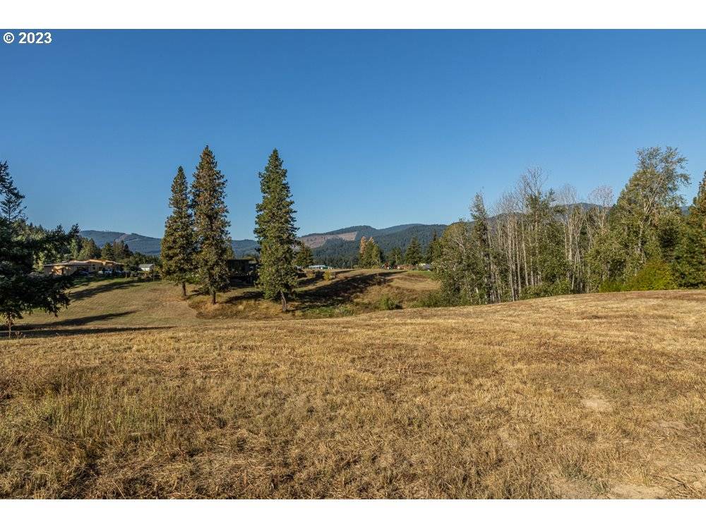 White Salmon, WA 98672,Lot 25 Husum Greens