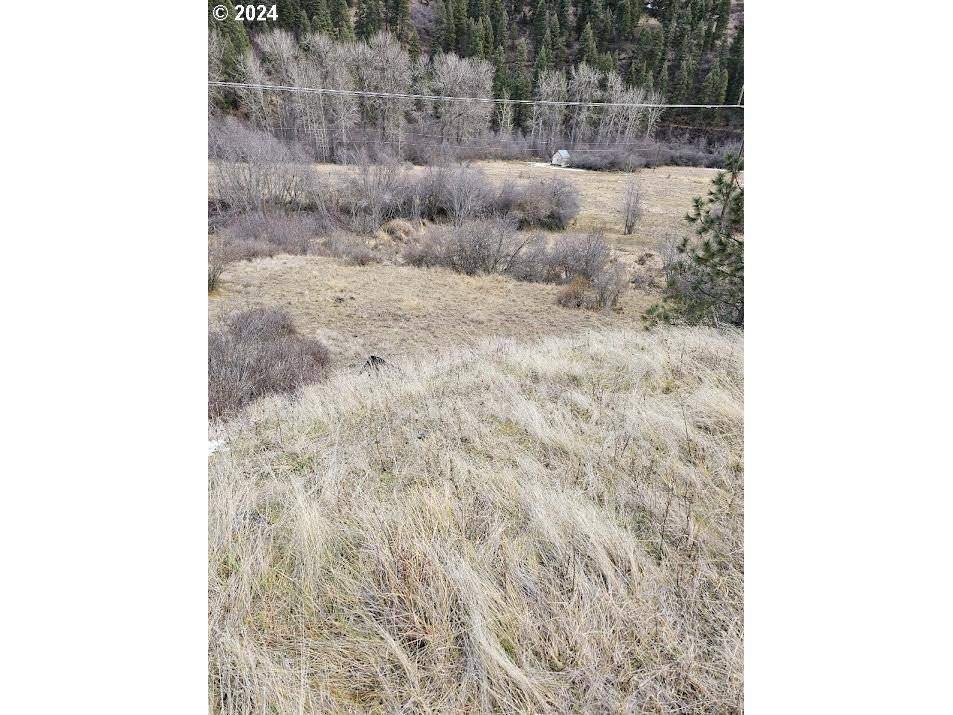 Imnaha, OR 97842,Upper Imnaha River RD #153