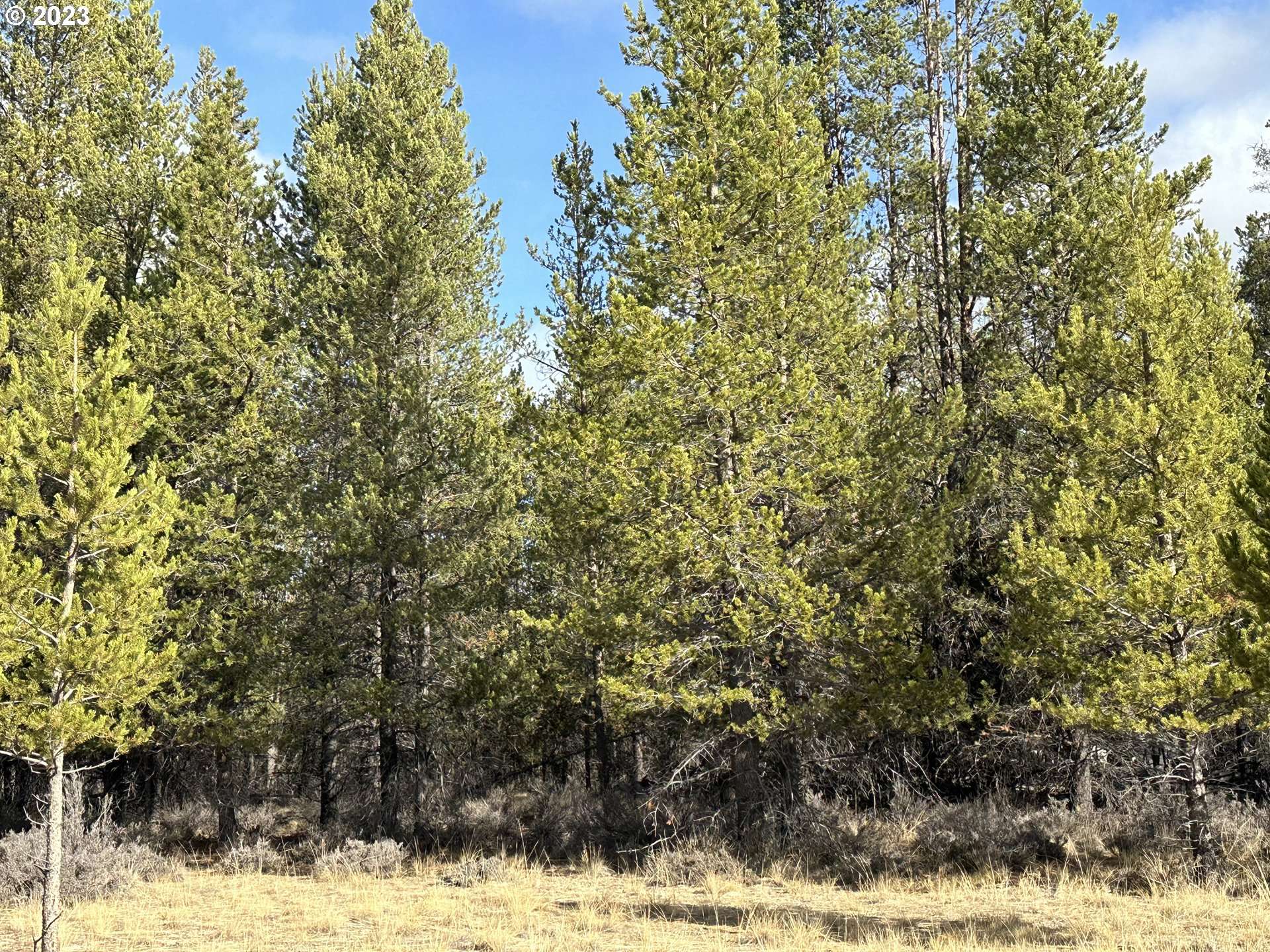 La Pine, OR 97739,Split Rail RD #6100