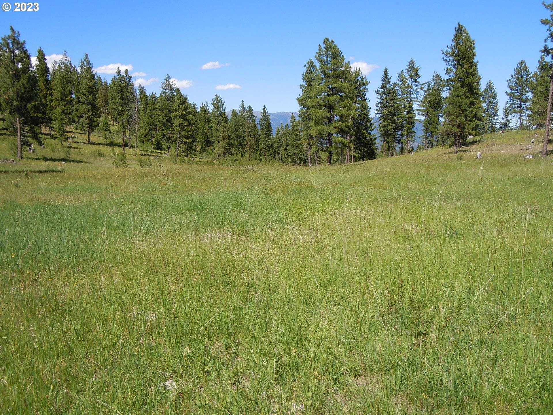 Sumpter, OR 97877,Ntl Forest Dev 1170 RD