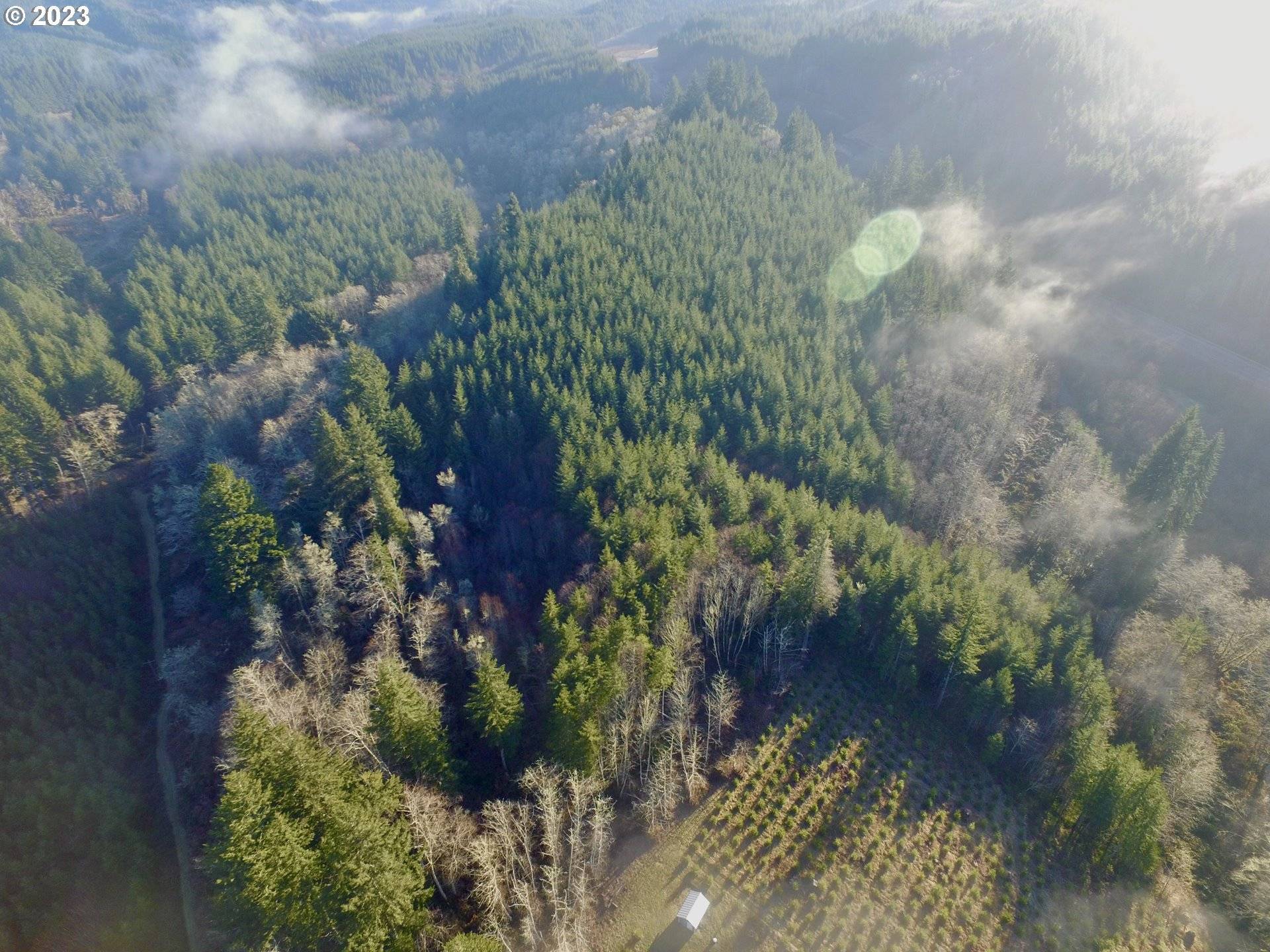 Toledo, OR 97391,Trapp Creek RD