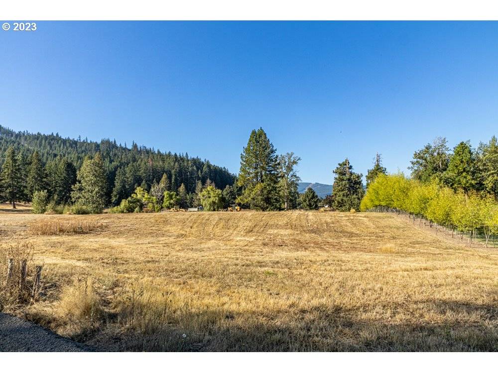 White Salmon, WA 98672,Lot 24 Husum Greens