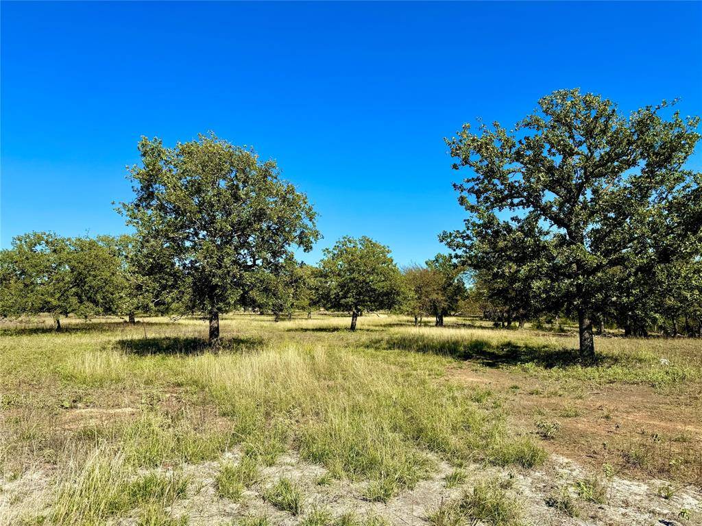 Mineral Wells, TX 76067,TBD Lot 4 Hwy 281 N