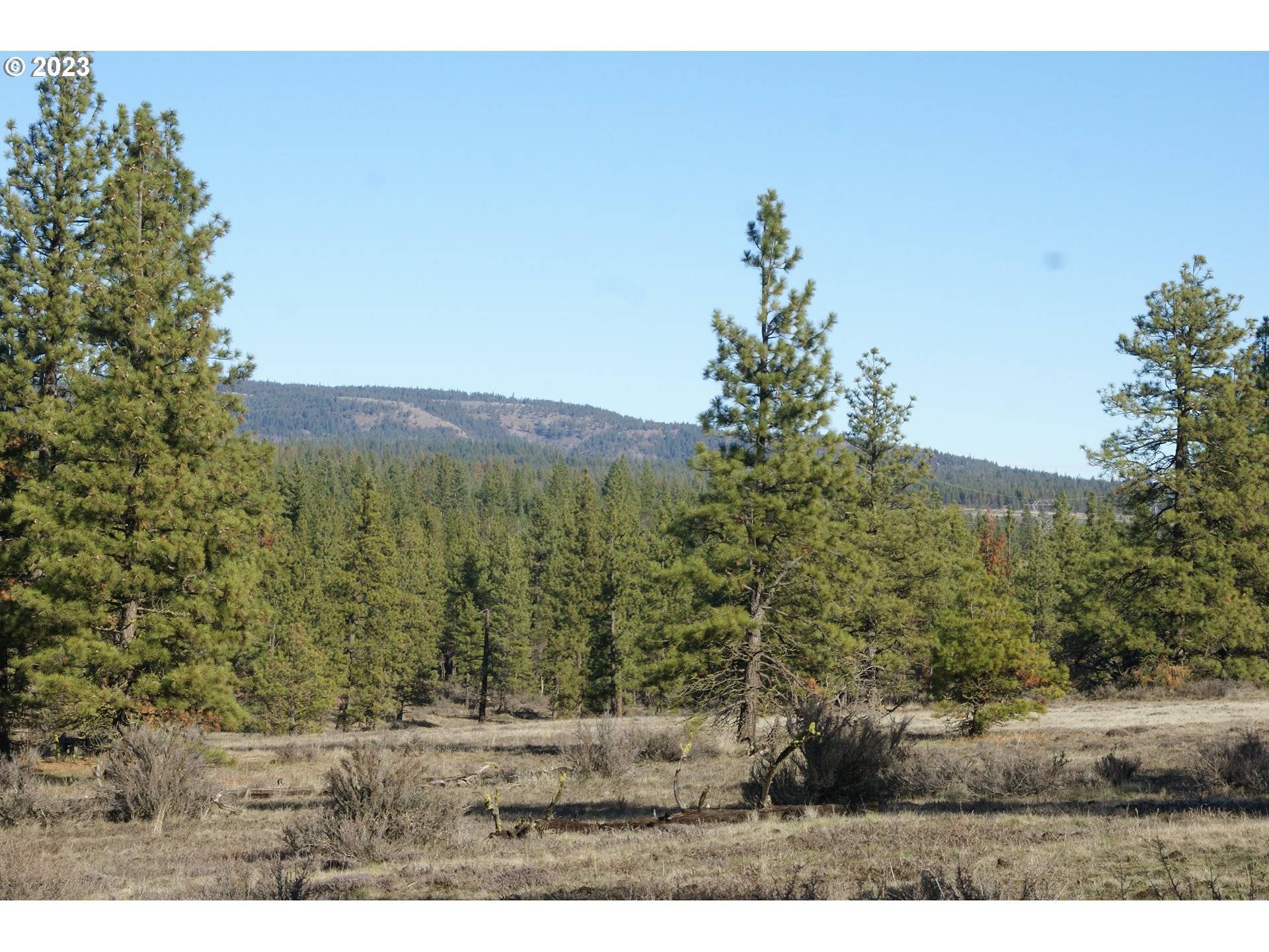 Goldendale, WA 98620,Jenkins Creek RD