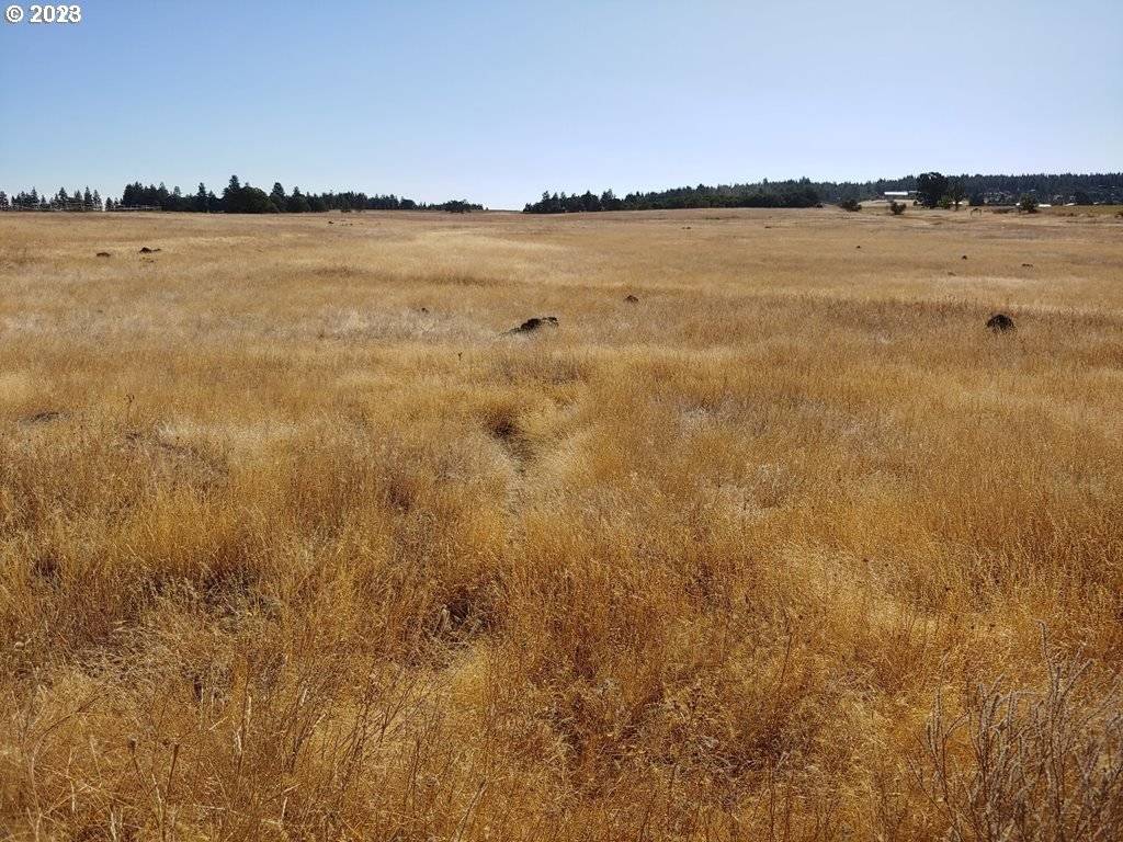 Goldendale, WA 98620,Patton Lane