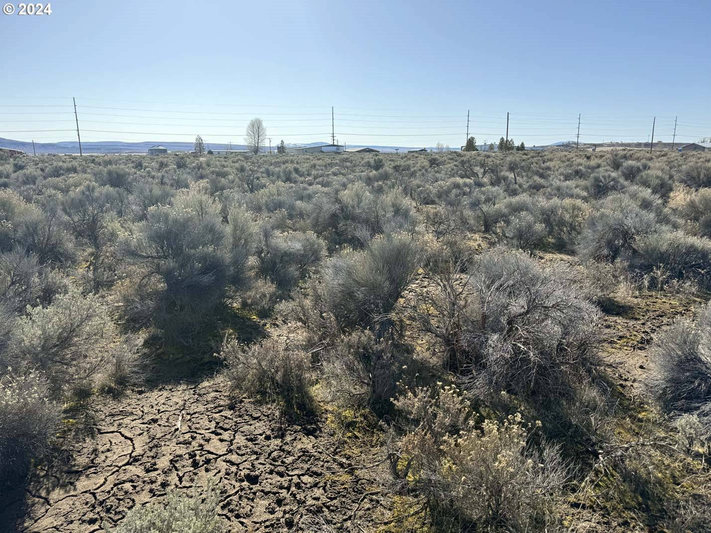 Christmas Valley, OR 97641,Larch ST #100