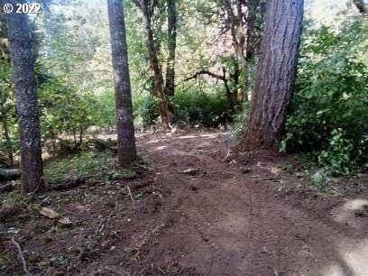 Lorane, OR 97451,501 Carpenter Bypass Rd