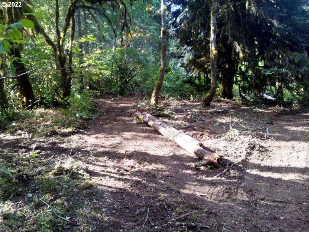 Lorane, OR 97451,501 Carpenter Bypass Rd