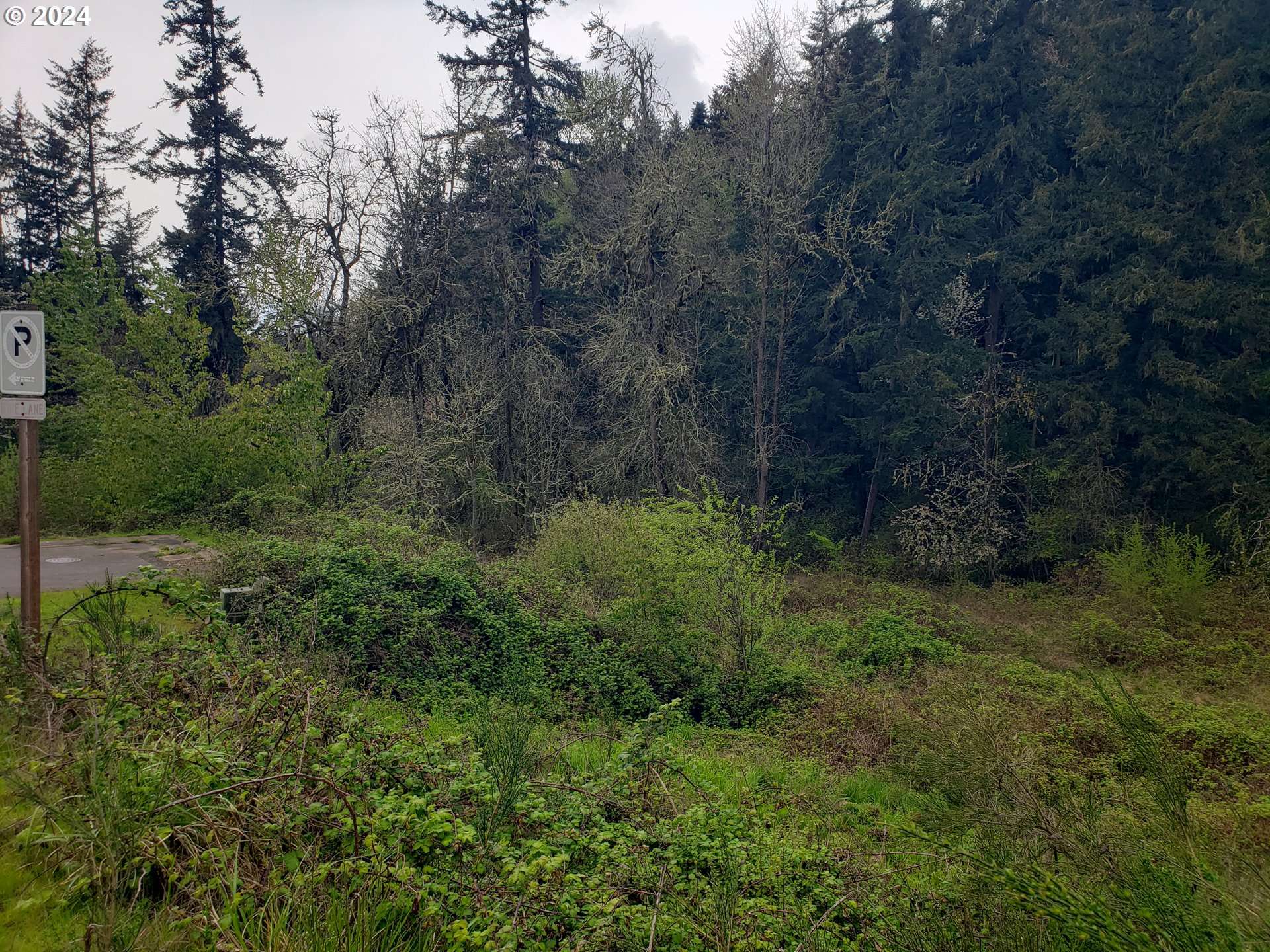 Blue Spruce DR #Lot #23, Eugene, OR 97405