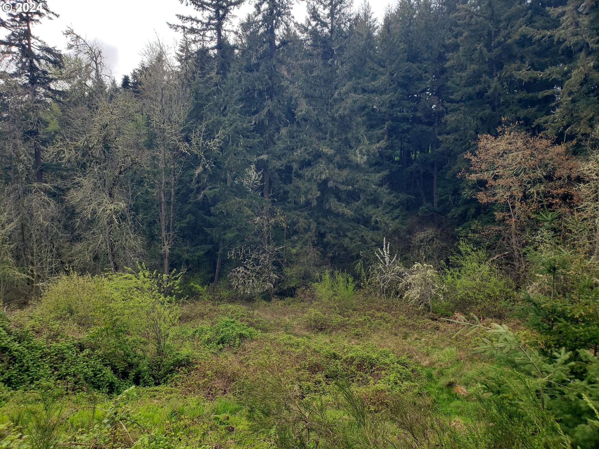 Blue Spruce DR #Lot #23, Eugene, OR 97405