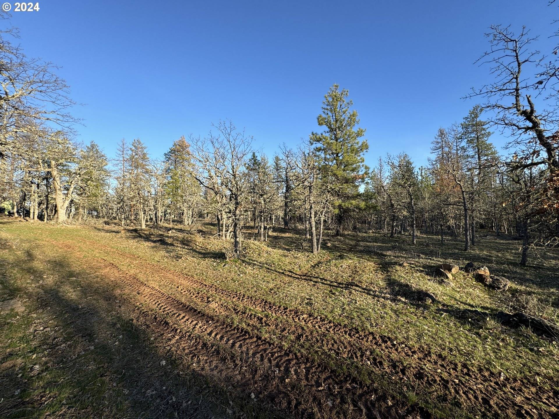 Goldendale, WA 98620,PINEY WOODS #2