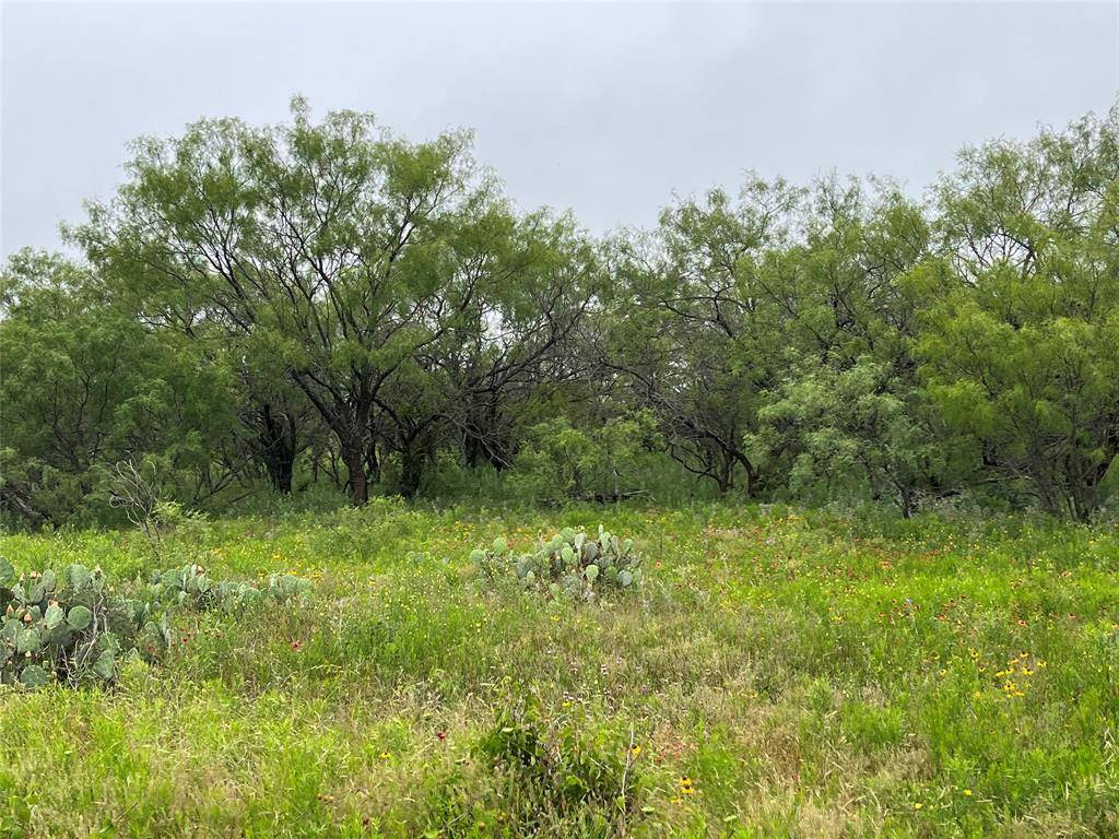 Cisco, TX 76437,140+-Acres Co Road 137