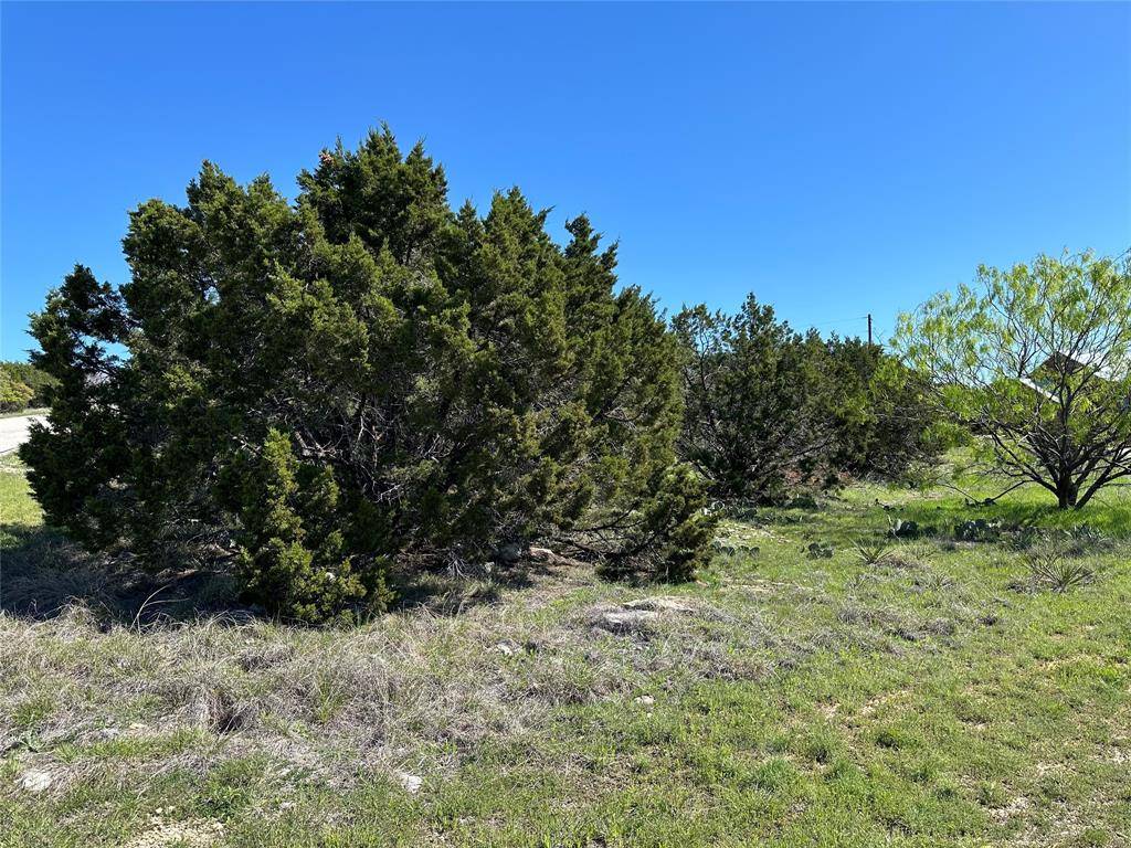 Graford, TX 76449,Lot 41 Carnoustie Drive