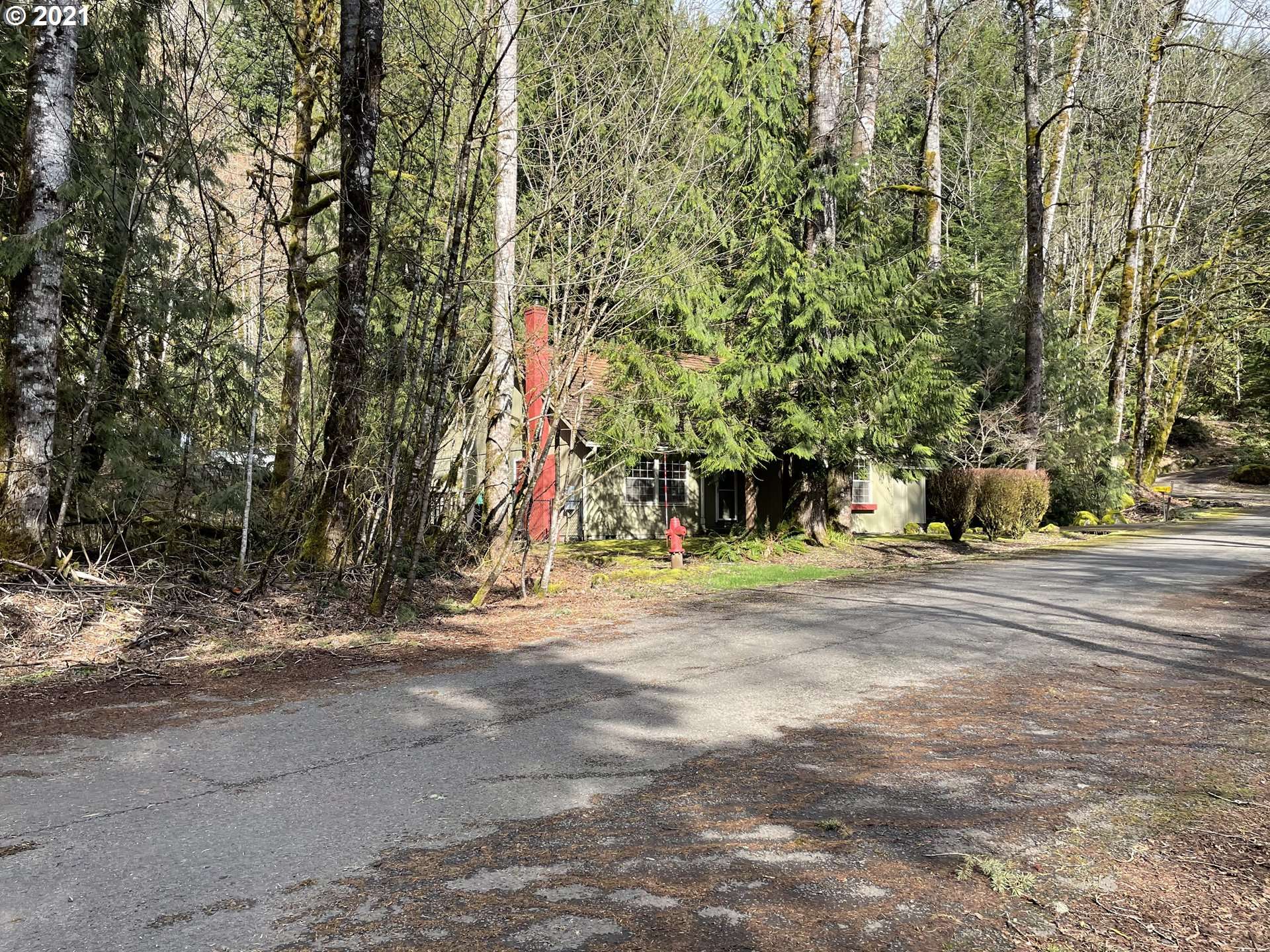 Rhododendron, OR 97049,21121 E MOUNTAIN CREEK CIR