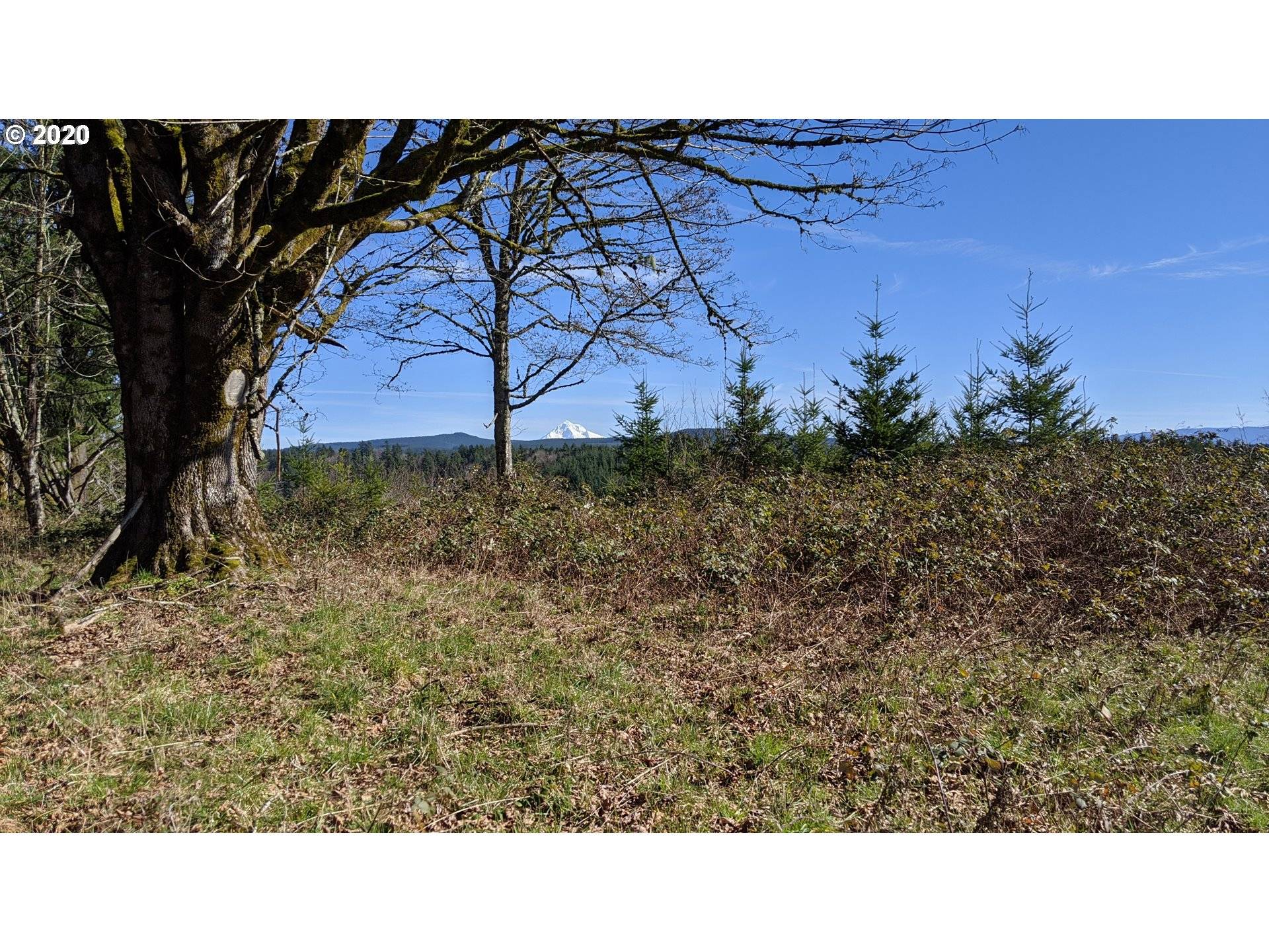 Corbett, OR 97019,SE Louden RD