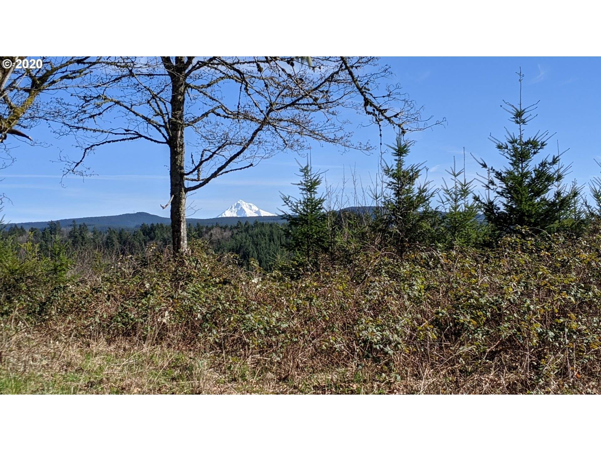 Corbett, OR 97019,SE Louden RD