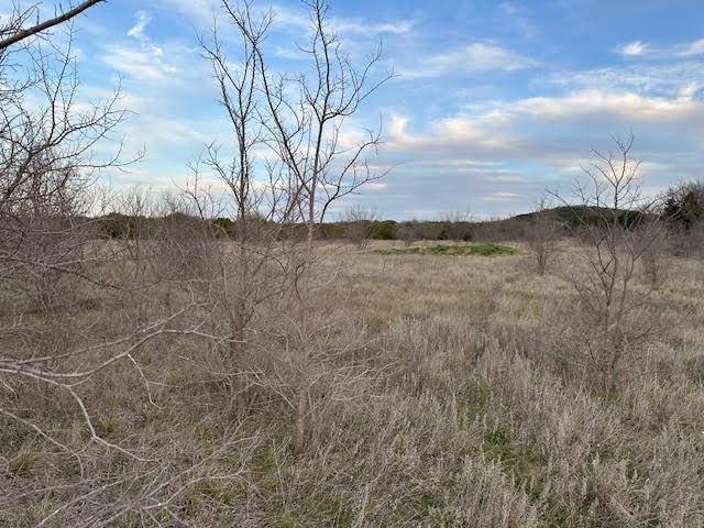 Graford, TX 76449,Lot 35 Canyon Wren Loop