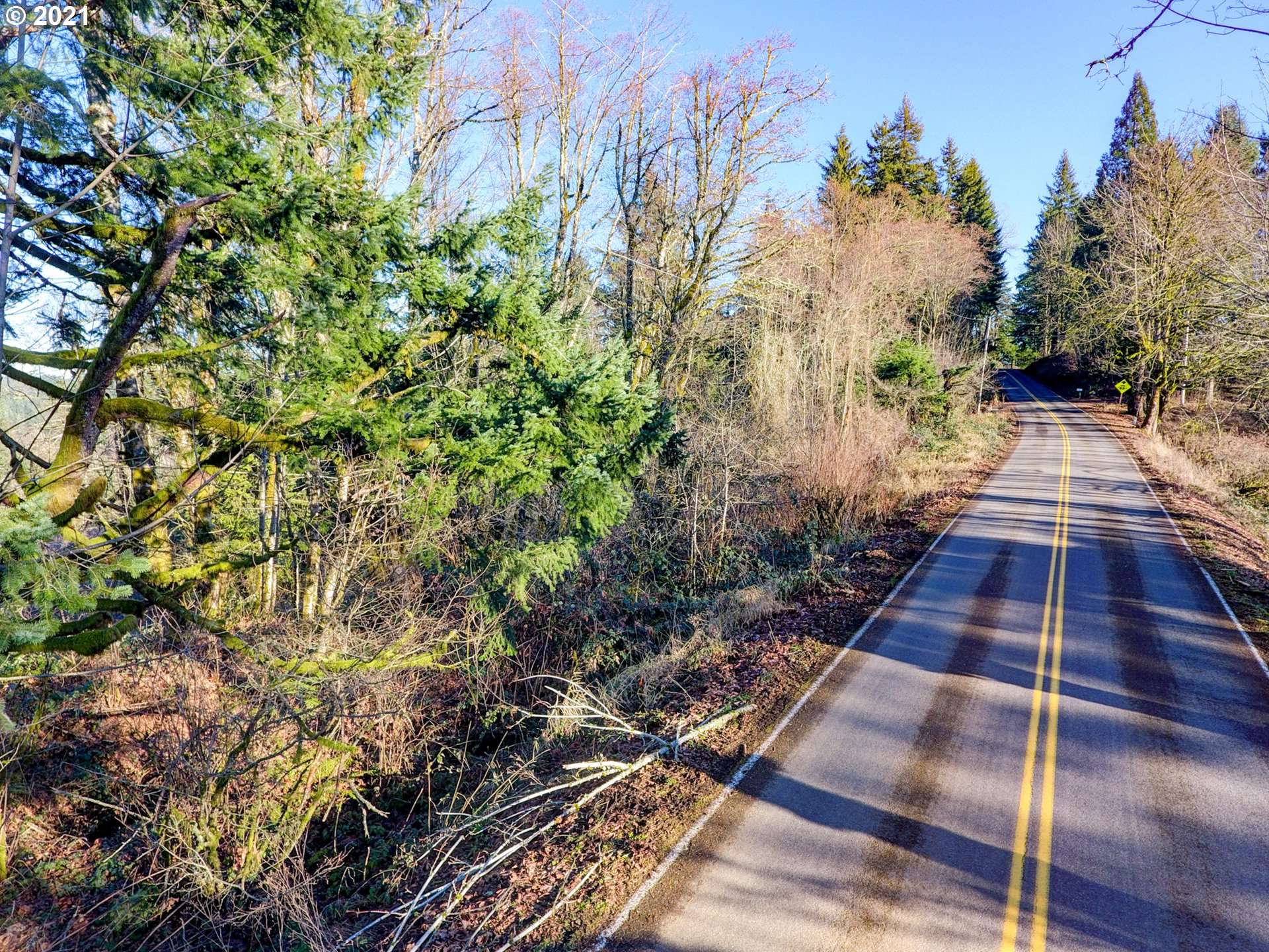 Corbett, OR 97019,E LARCH MOUNTAIN RD