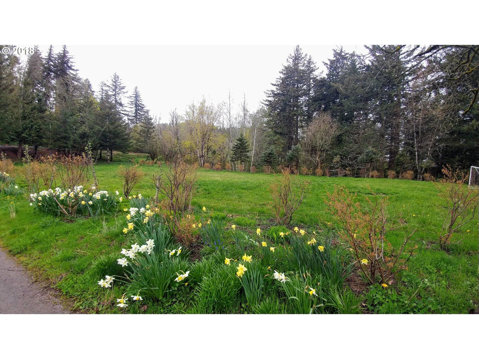 Corbett, OR 97019,NE CHAMBERLAIN RD