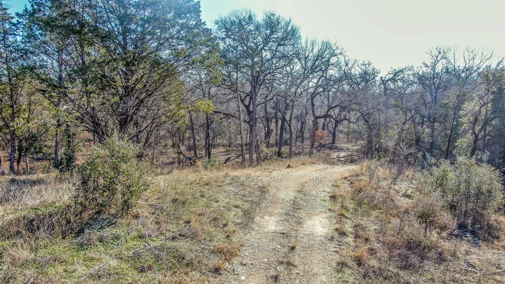 Brock, TX 76087,1252 Eagles Bluff Drive