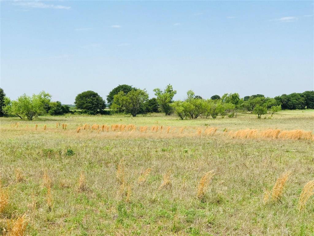 Rising Star, TX 76471,25.586 Acres TBD Co Road 377