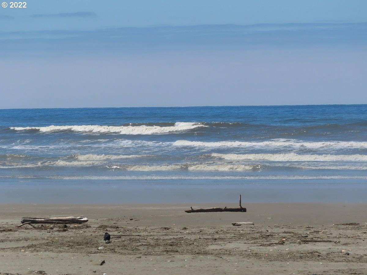 Copalis Beach, WA 98535,State Route 109