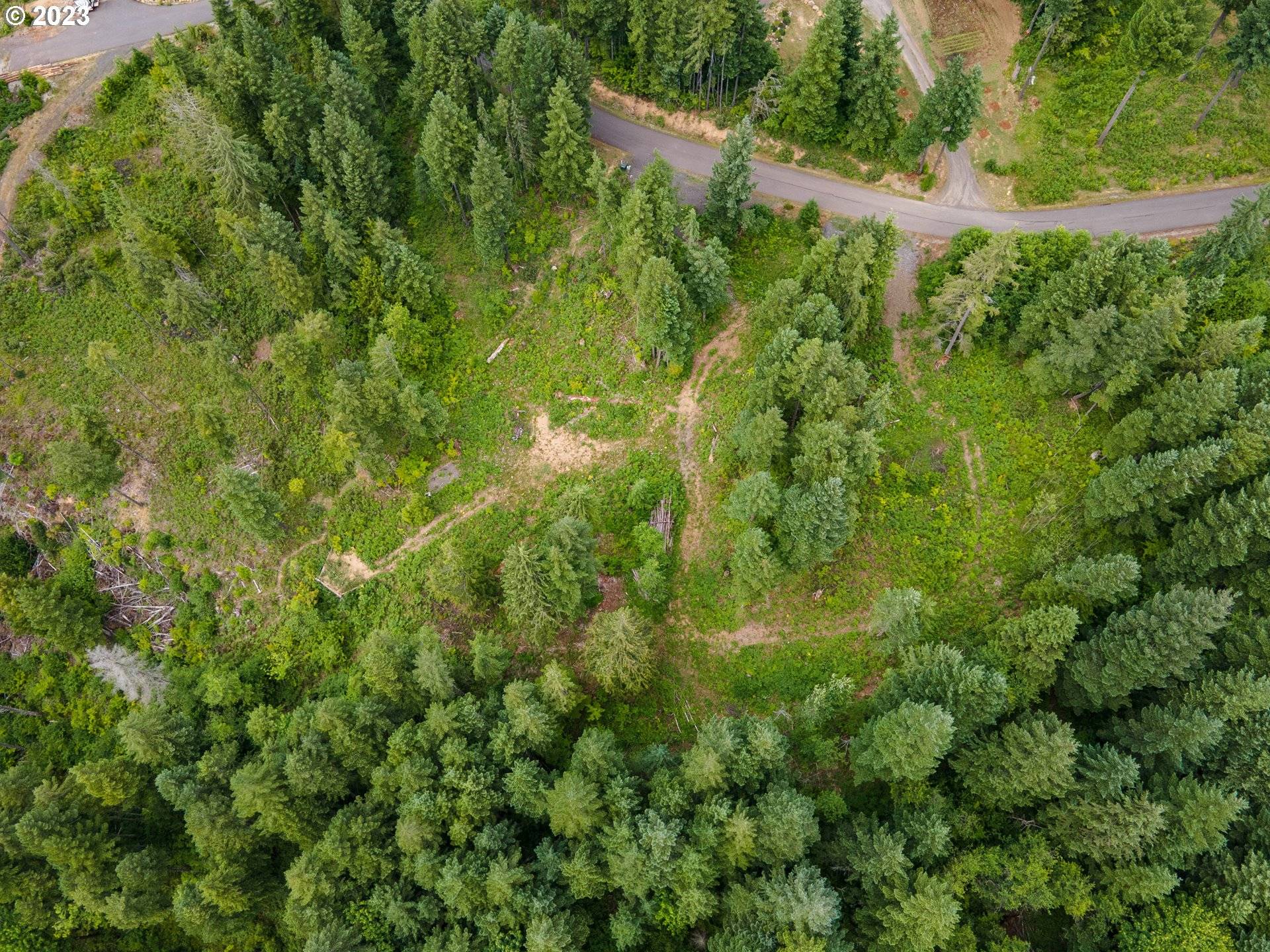 Carson, WA 98610,422 Boulder Ridge DR #Lot 9