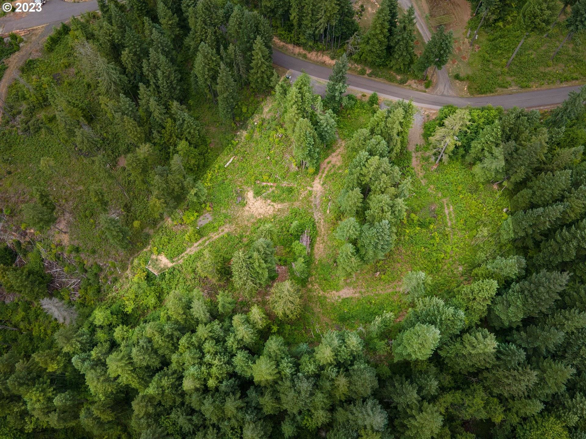 Carson, WA 98610,422 Boulder Ridge DR #Lot 9