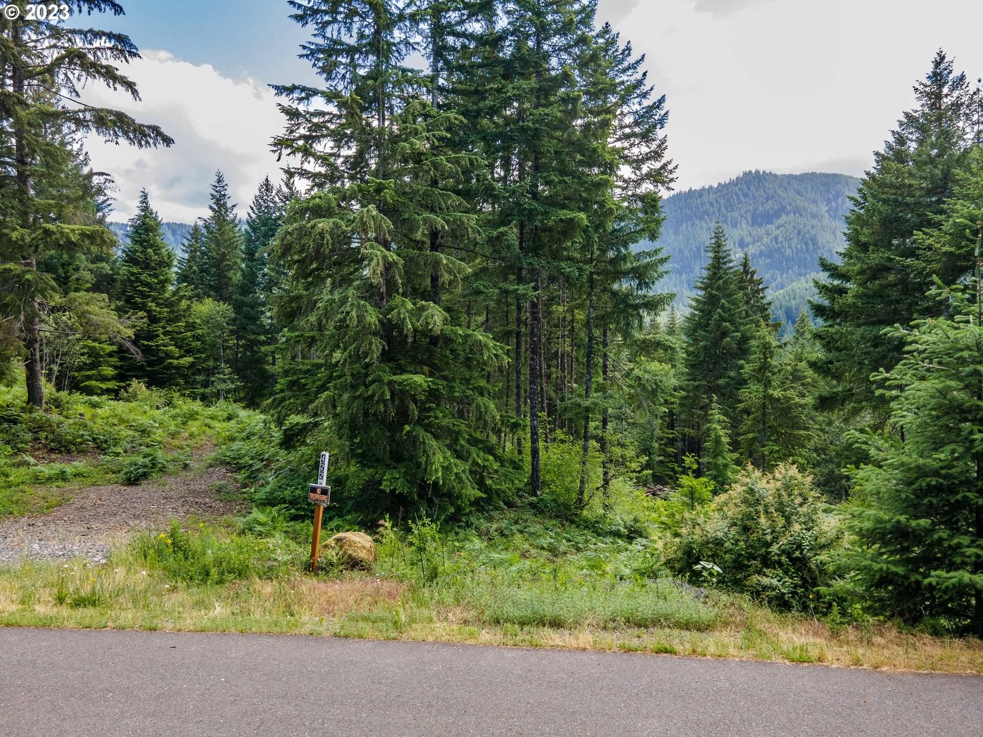 Carson, WA 98610,422 Boulder Ridge DR #Lot 9