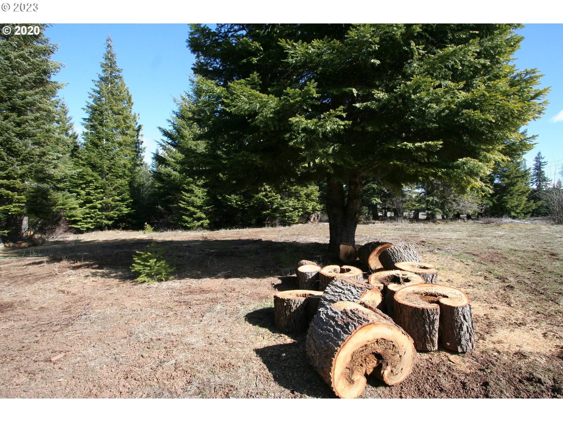 Lyle, WA 98635,22 Mountain Pine RD