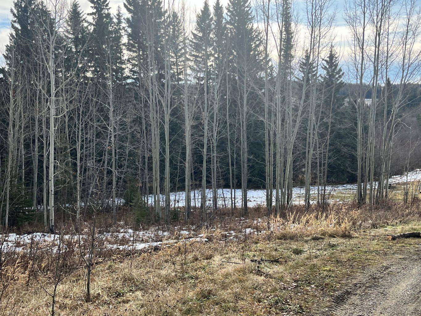 Rural Clearwater County, AB T0M 0M0,55027 36-0 Township