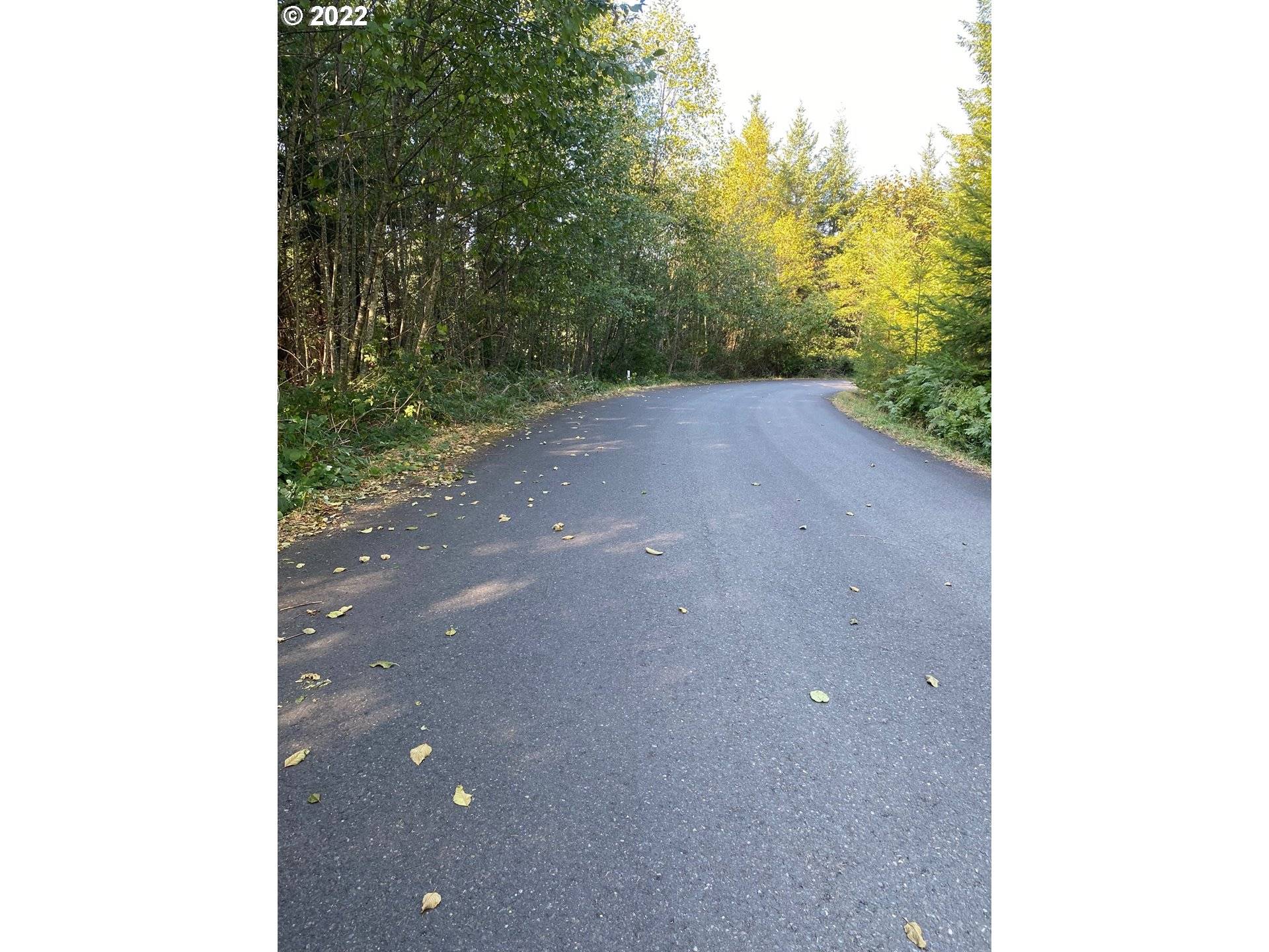 Amboy, WA 98601,350 MOHAWK LN