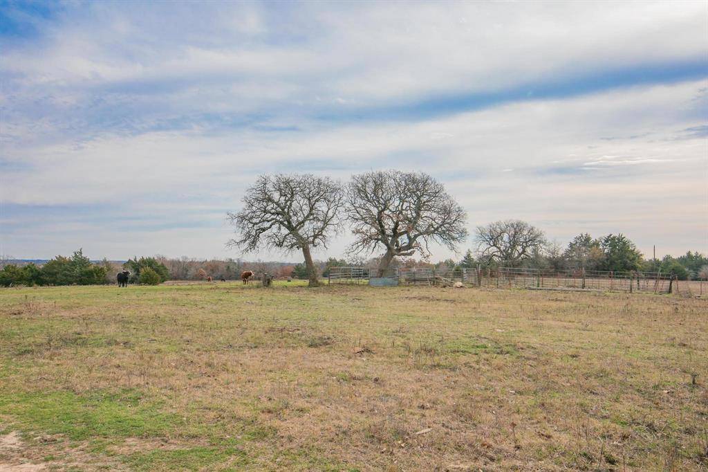 Forestburg, TX 76239,138 Acres Pilots Loop Road