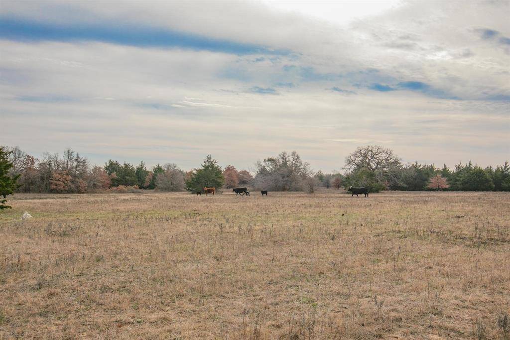 Forestburg, TX 76239,138 Acres Pilots Loop Road