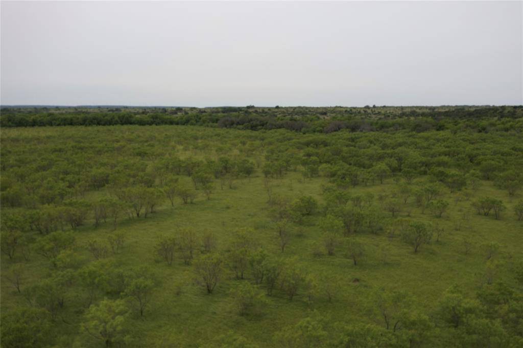 Comanche, TX 76442,Lot 117 Comanche Lake Rd.