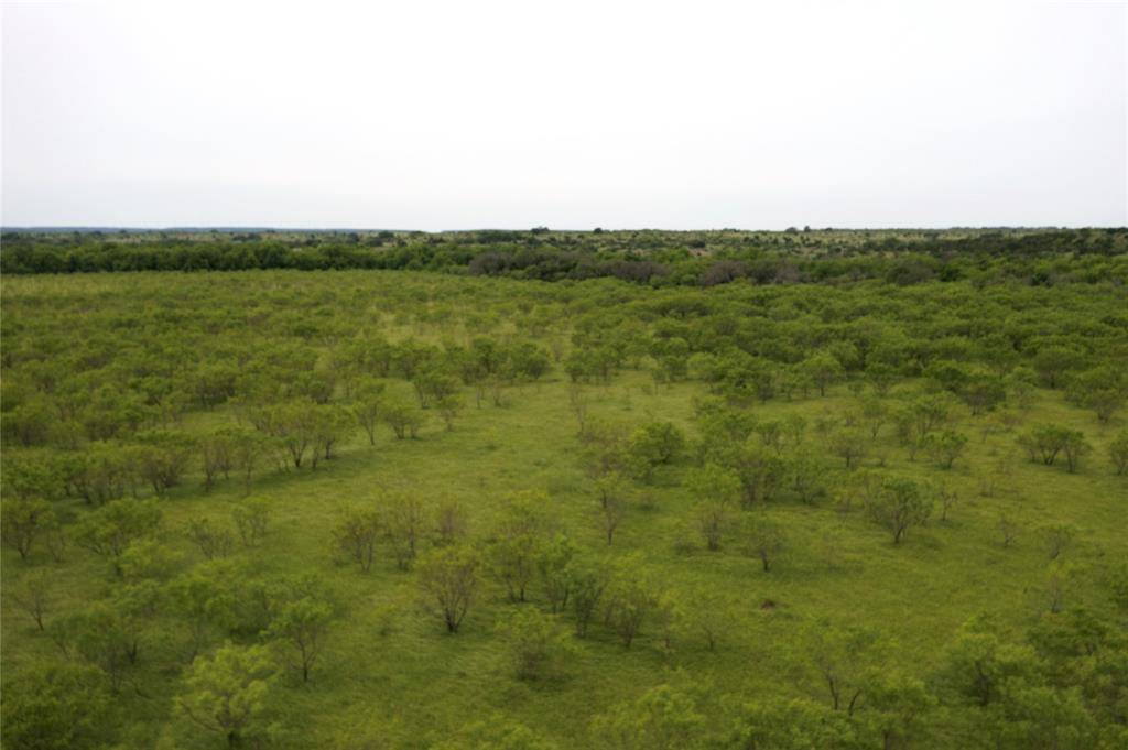 Comanche, TX 76442,Lot 117 Comanche Lake Rd.