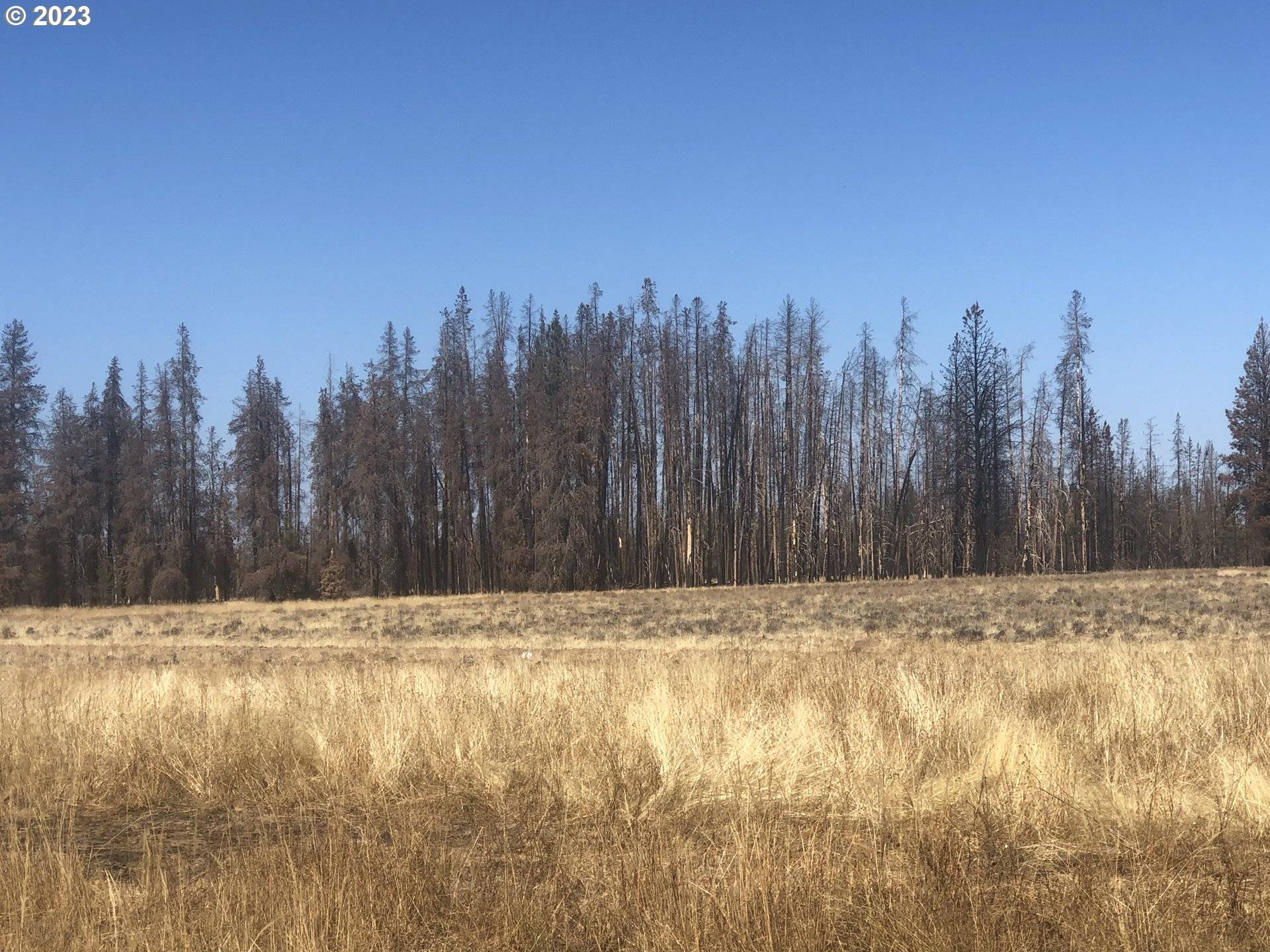 Bly, OR 97622,NF 27 #8 POR