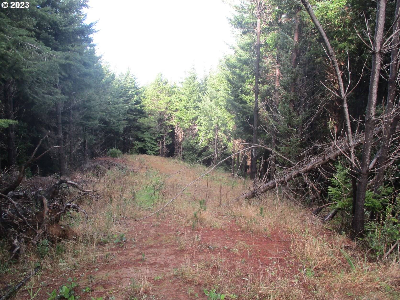 Port Orford, OR 97465,Emma WAY