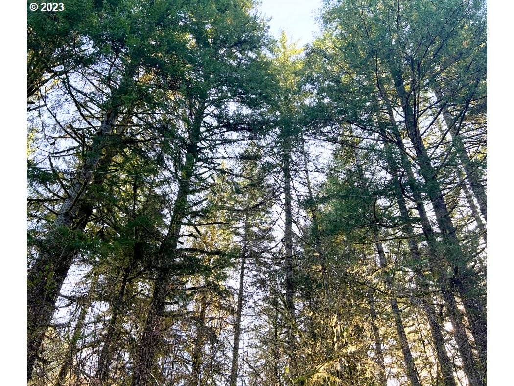 Logsden, OR 97357,1850 MOONSHINE PARK RD