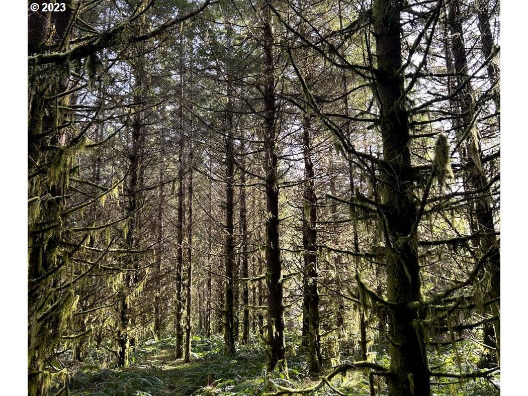 Logsden, OR 97357,1850 MOONSHINE PARK RD