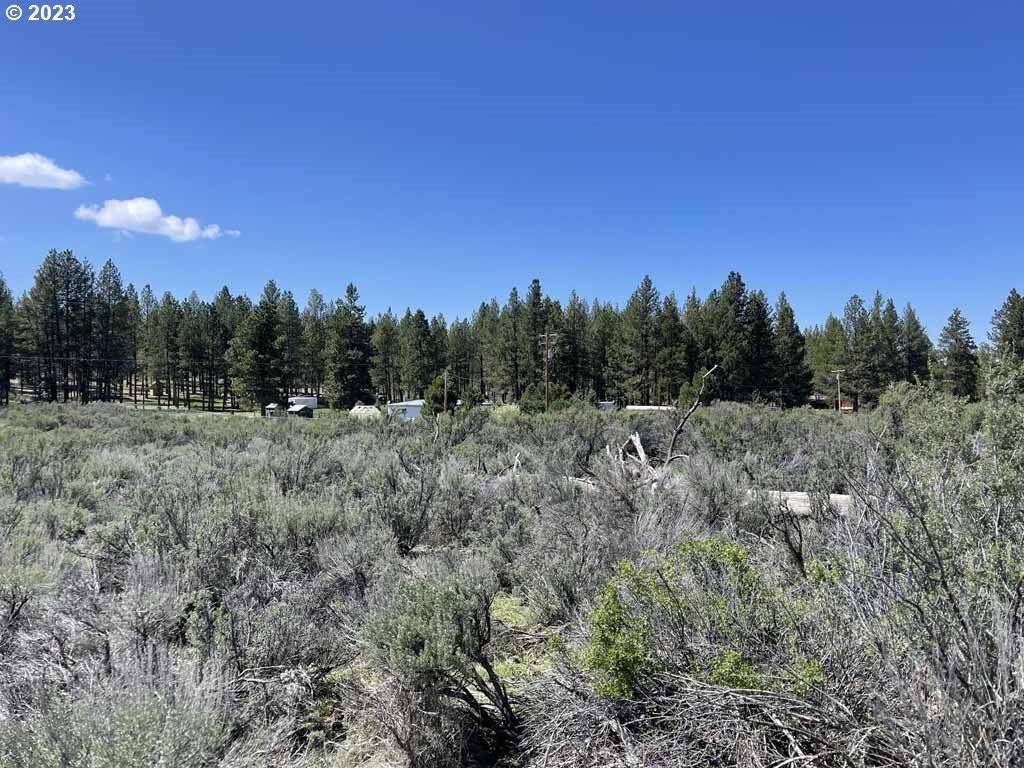 Chiloquin, OR 97624,Laura LN #Lot 7