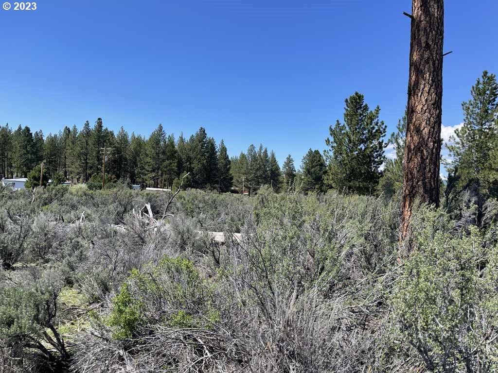 Chiloquin, OR 97624,Laura LN #Lot 7