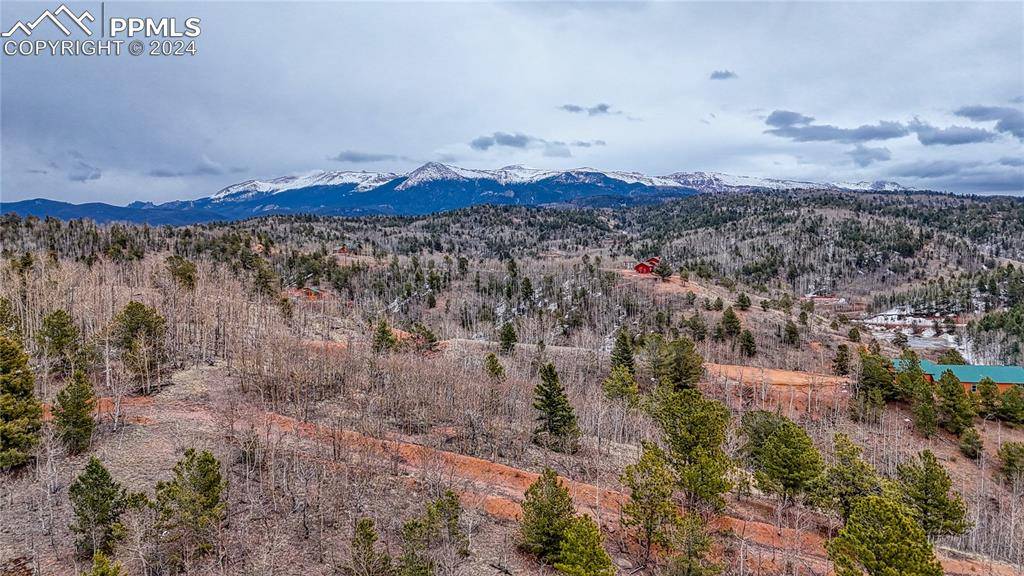 Cripple Creek, CO 80827,182 Granite LN