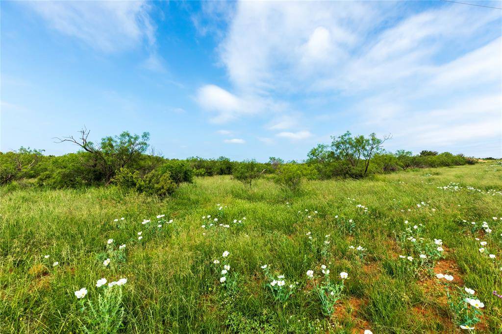 Aspermont, TX 79502,TBD 1 CR 349