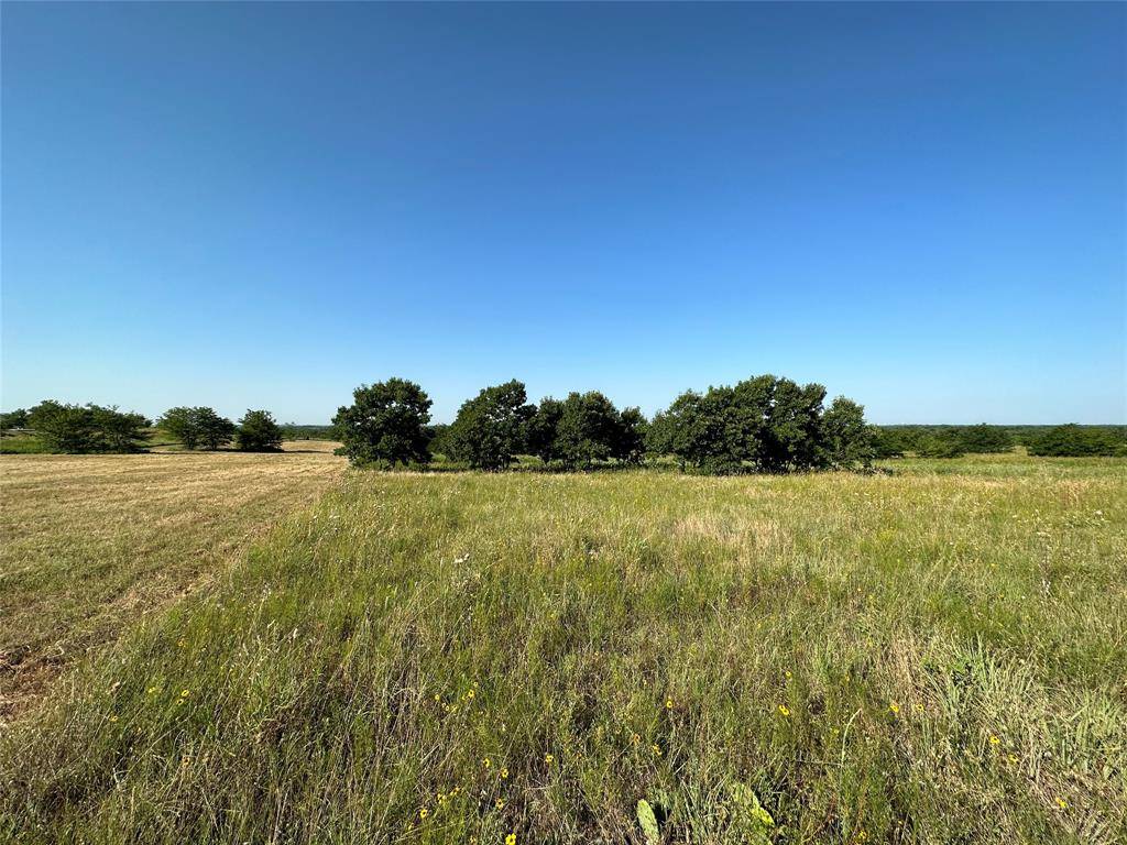 Gainesville, TX 76240,Lot 29 PR 4000