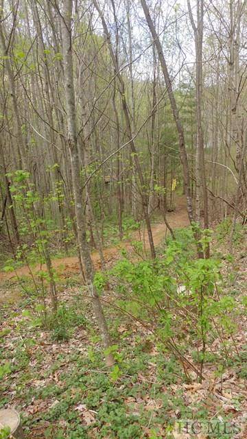 Cullowhee, NC 28723,Lot 4 N Captiva Mt Drive