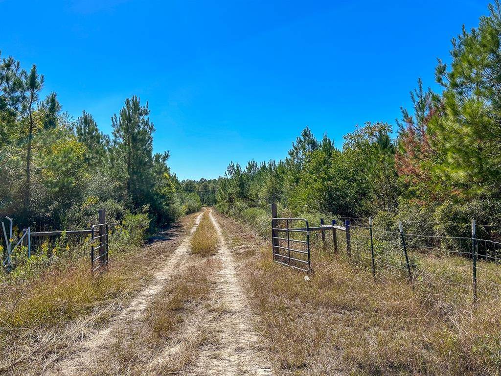 No City, TX 77664,0 CR 1915