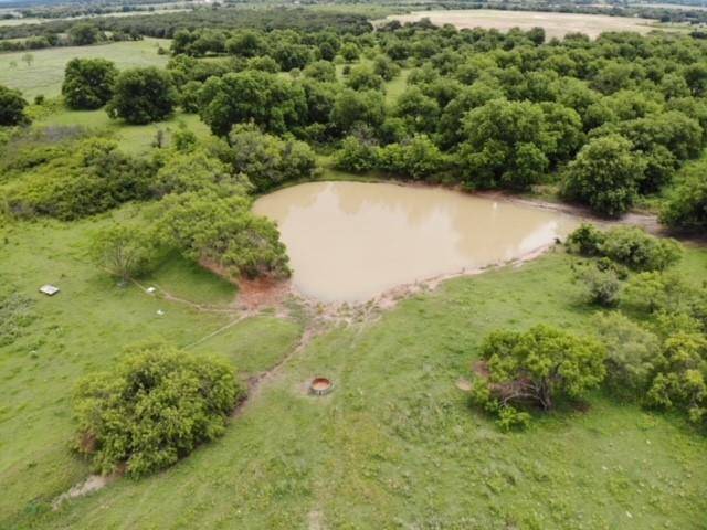 Rising Star, TX 76471,TBD Co Road 404