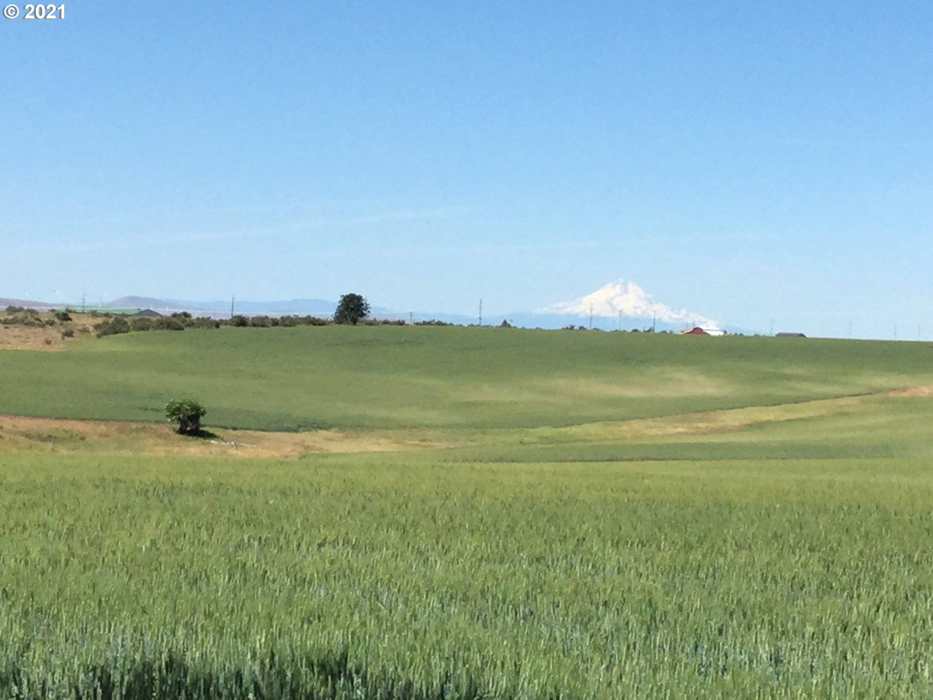 Goldendale, WA 98620,719 Woodland RD #2